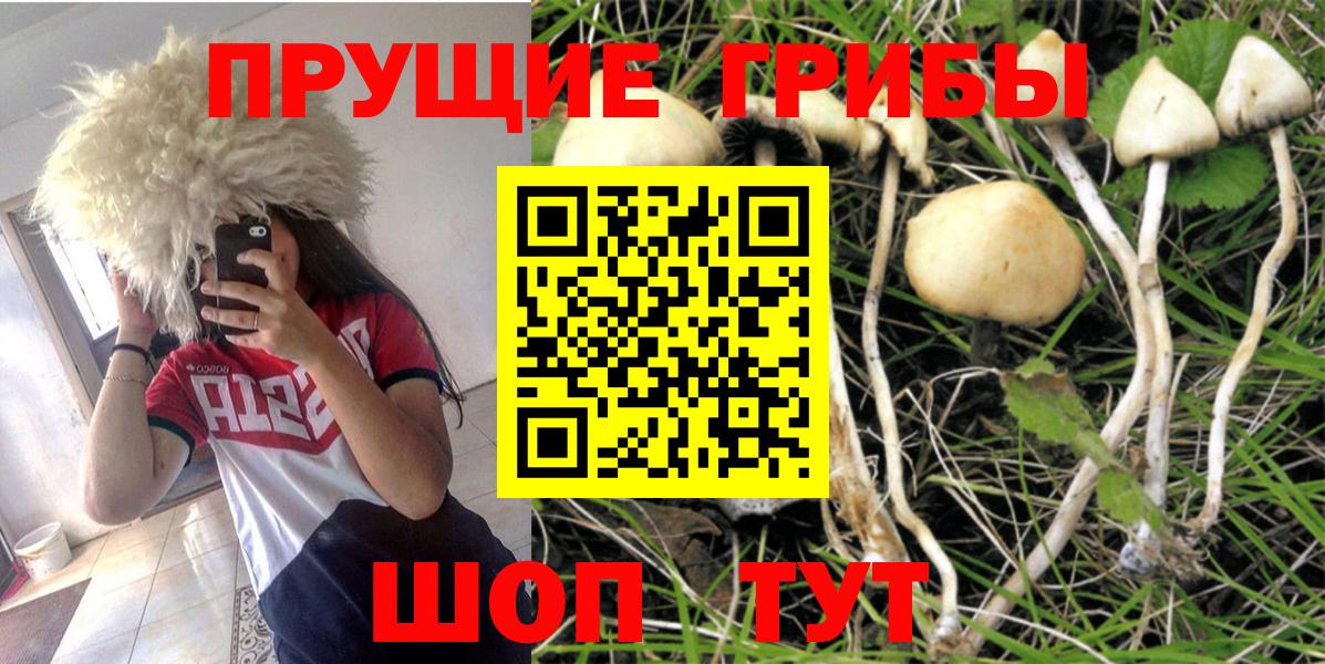 Псилоцибиновые грибы MAGIC MUSHROOMS Киселёвск