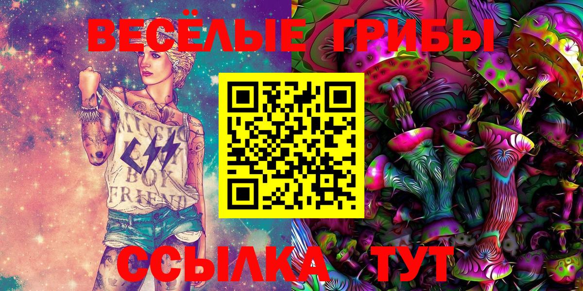 Псилоцибиновые грибы GOLDEN TEACHER  Вход с VPN  Киселёвск 